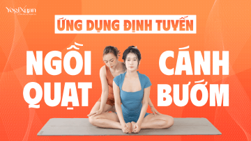 ứng dụng ĐT quạt cánh bướm.png