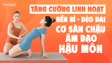 bài tập phục hồi cơ sàn chậu.png